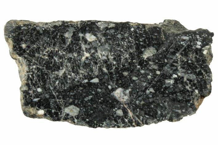 Polished Lunar Meteorite ( g) Section - NWA #312855